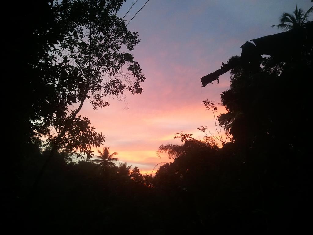 Jungle Village Homestay Pinnawala  Exterior foto